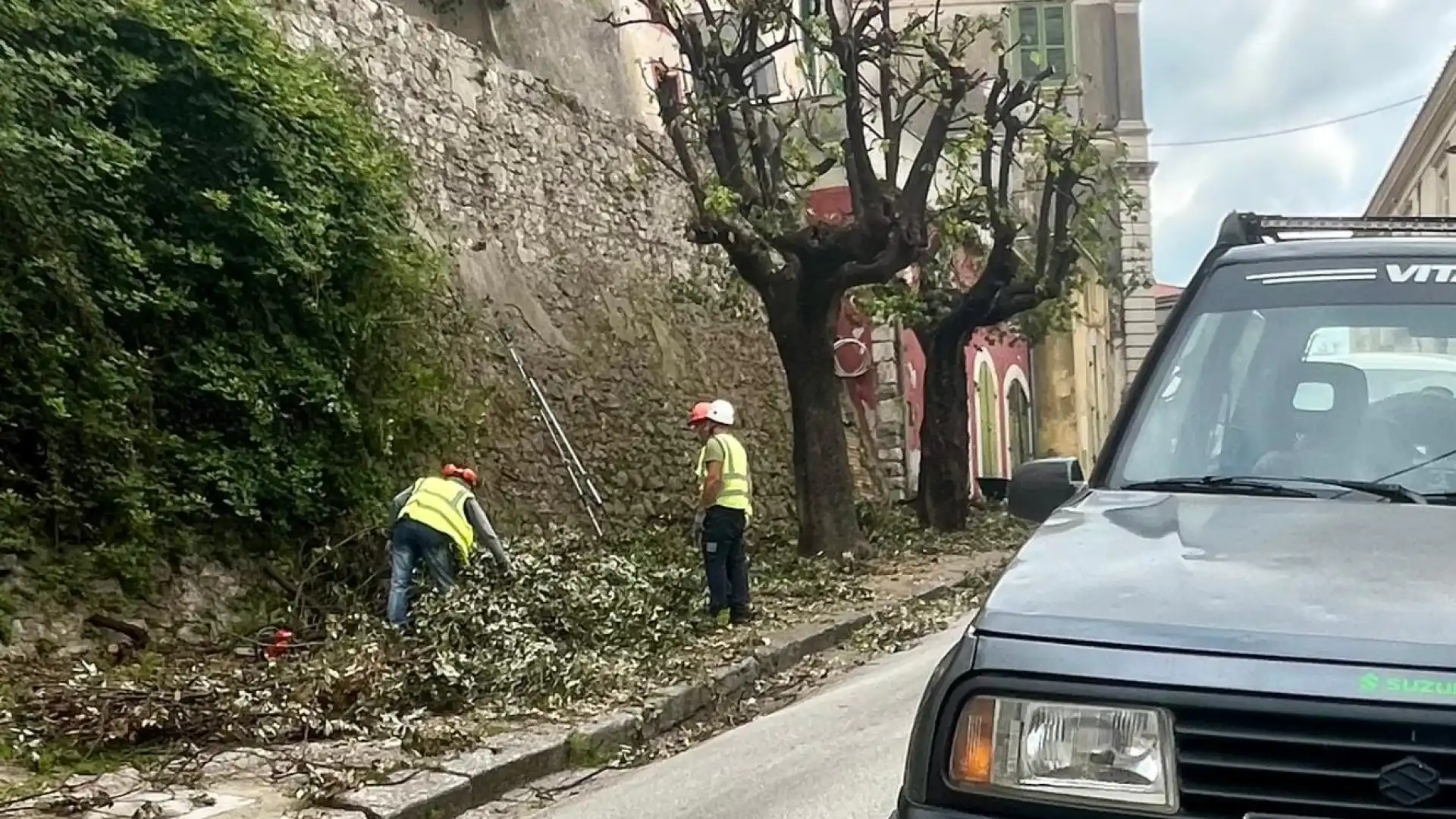 Venafro: riceviamo e pubblichiamo segnalazione di un nostro lettore. “La Potatura anomala di Primavera”.